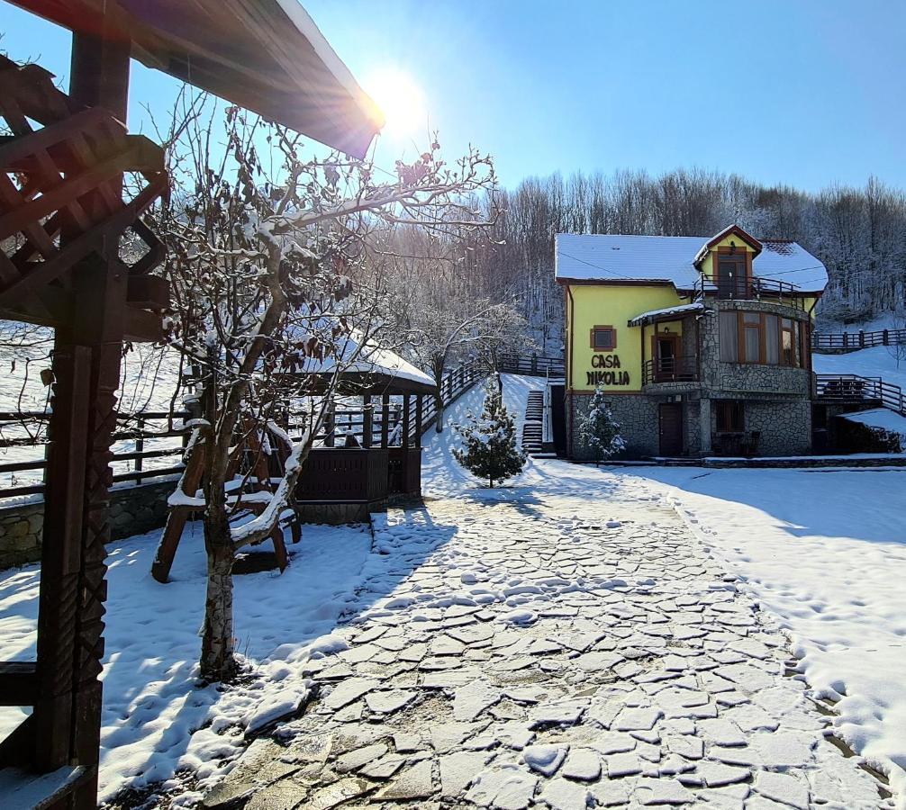 Casa Nikolia Hotel Măgura Exterior photo
