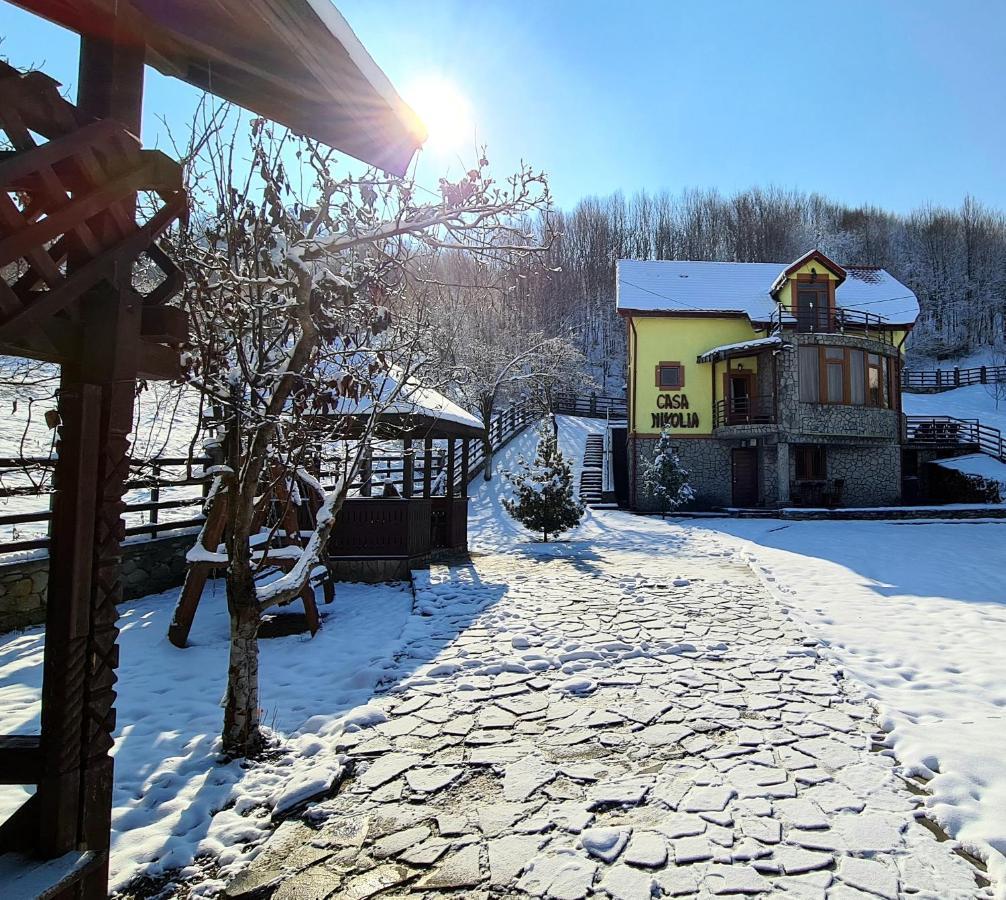 Casa Nikolia Hotel Magura  Exterior photo